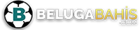 BLGABHS